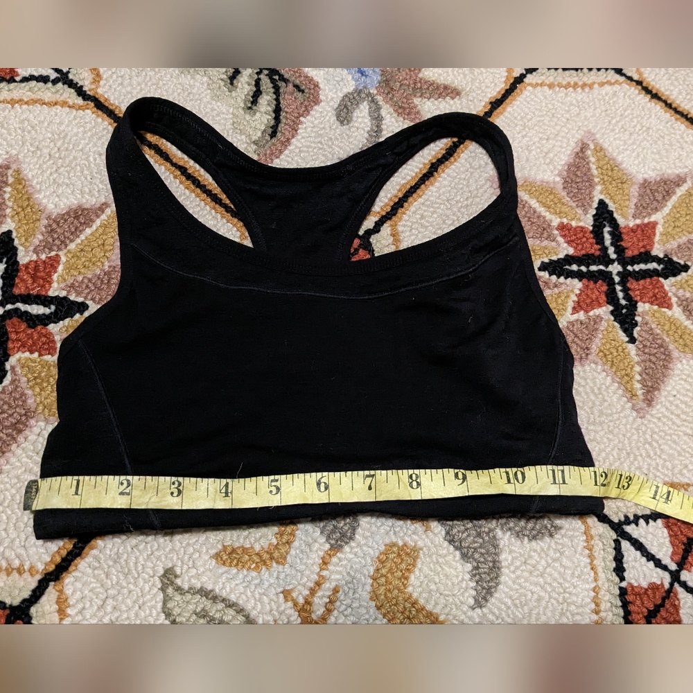 Icebreaker sports bra